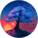 Akasya Ylmazer profil fotoğrafı