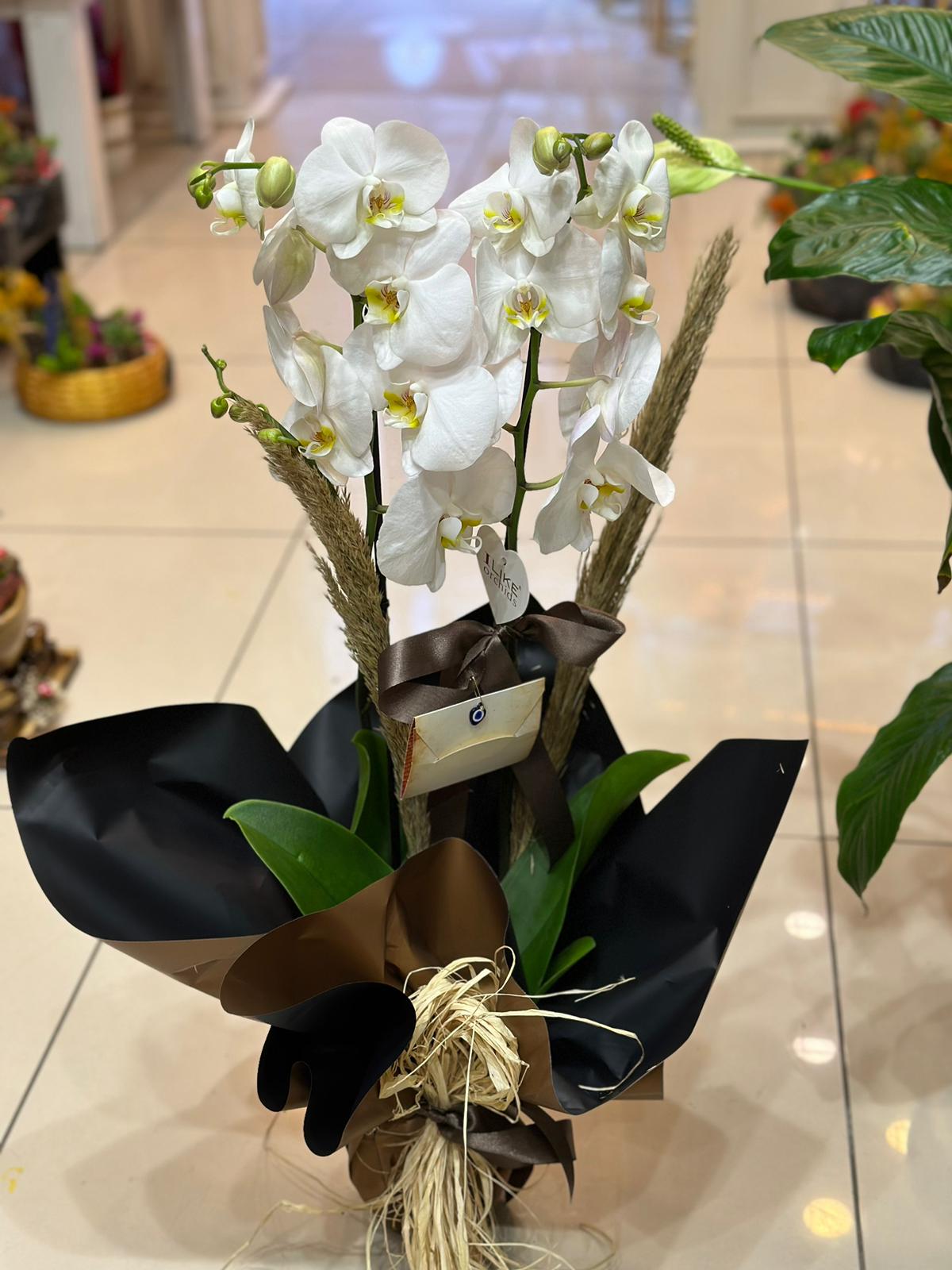 Moonlight Flowers & Han Organizasyon